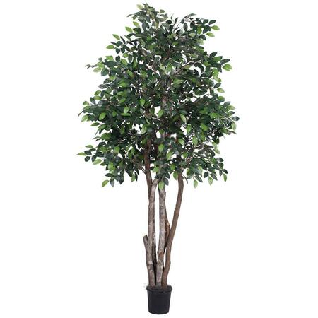 VICKERMAN 6 ft. Mini Ficus Executive Silk Tree - Green TEX4260-07